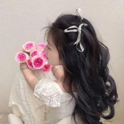 安德鲁克里斯和狮子